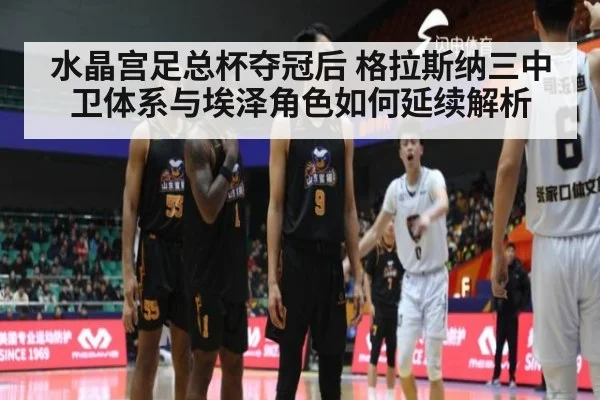水晶宫足总杯夺冠后 格拉斯纳三中卫体系与埃泽角色如何延续解析