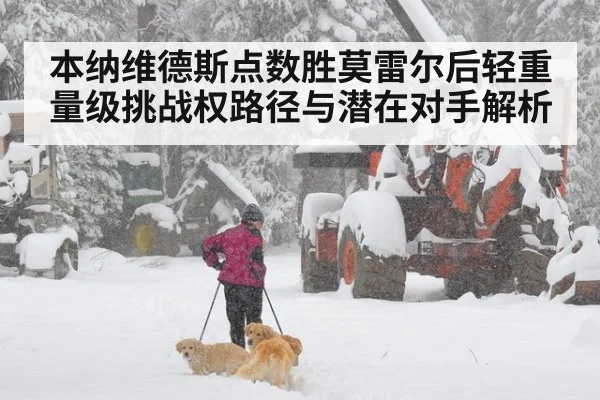 本纳维德斯点数胜莫雷尔后轻重量级挑战权路径与潜在对手解析